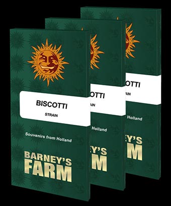 Biscotti Barney’s Farm