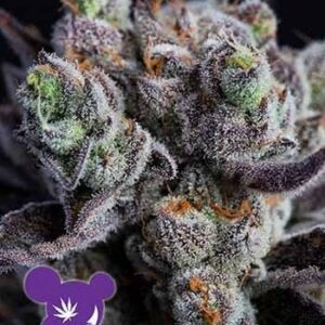 Blackberry Moonrocks