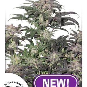Bubba Island Kush