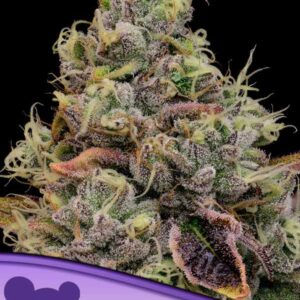 Chaos Cake