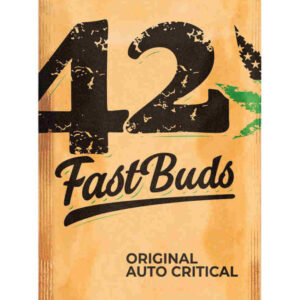 Critical Auto