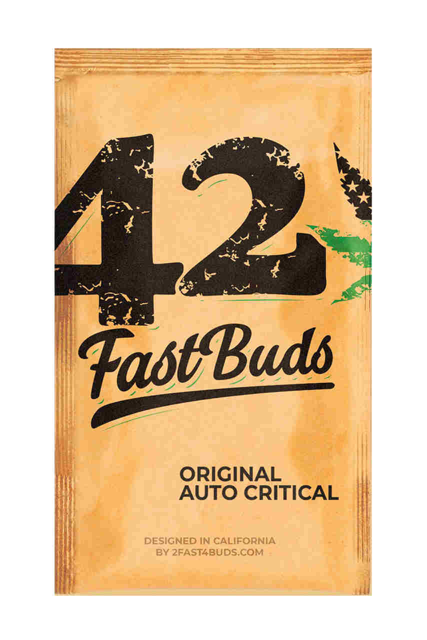 Critical Auto