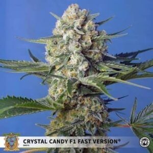Crystal Candy F1 Fast Version