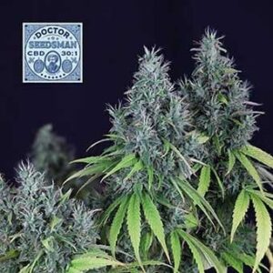 Doctor Seedsman CBD 30:1