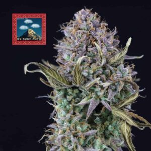 og-kush-auto OG Kush Auto