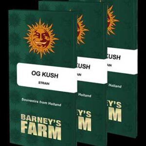 og-kush-od-barney-s-farm OG Kush od Barney’s Farm