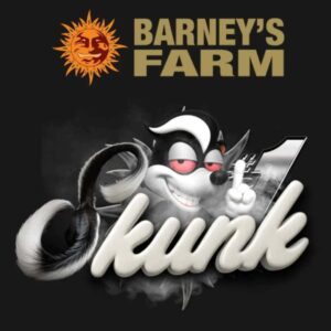 Skunk #1 Barneys