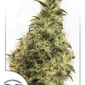 THC-Victory